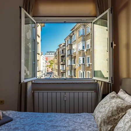 11 * Sofia